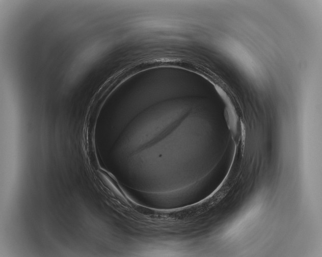 X0000116030387200911271140