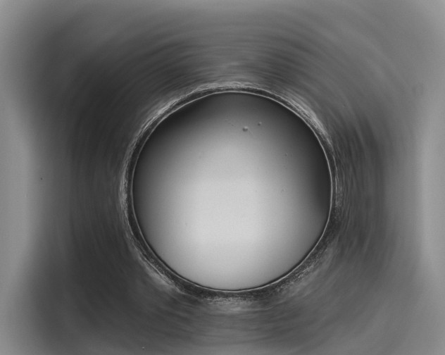 X0000116030389200911271140