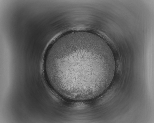 X0000116030392200911271140