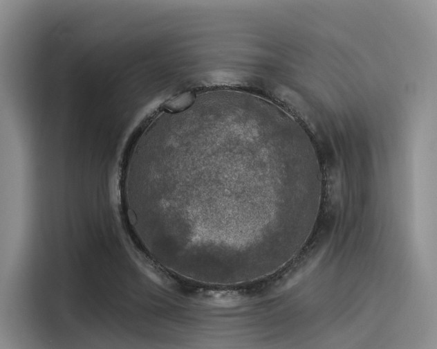 X0000116030395200911271140