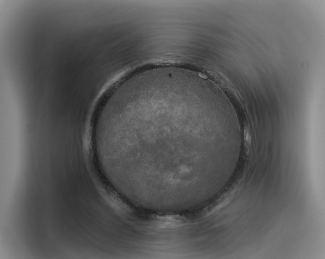 X0000116030396200911271140