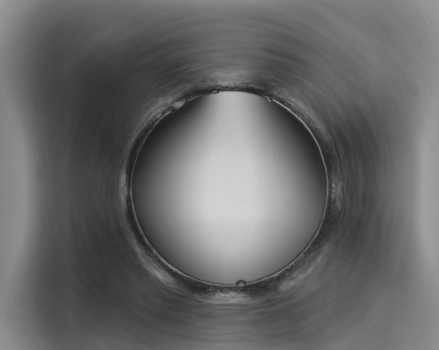 X0000116030397200911271140