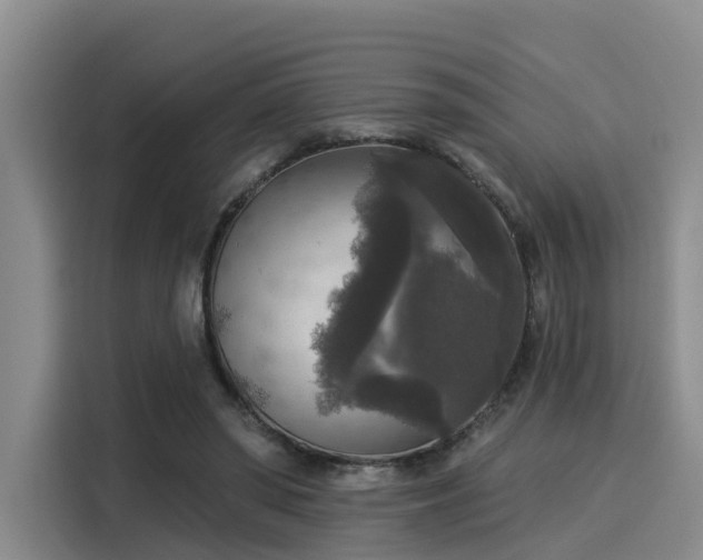 X0000116030398200911271140