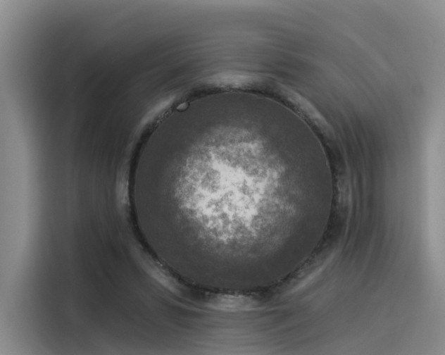 X0000116030399200911271140