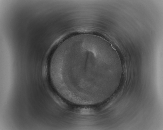 X0000116030400200911271140