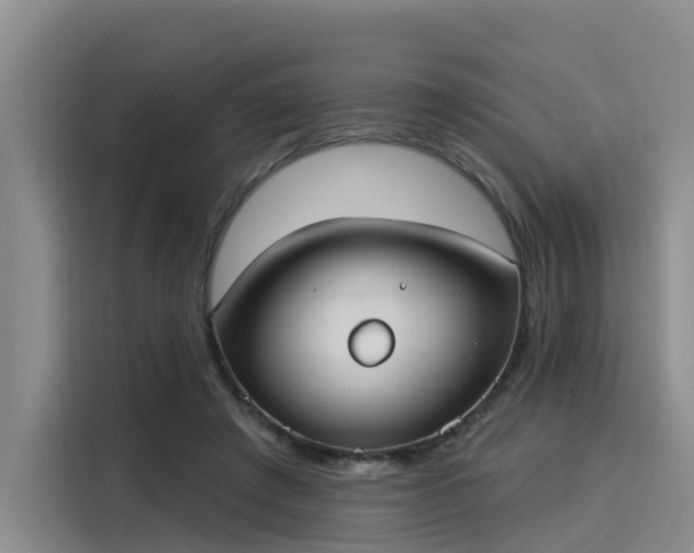 X0000116030401200911271140