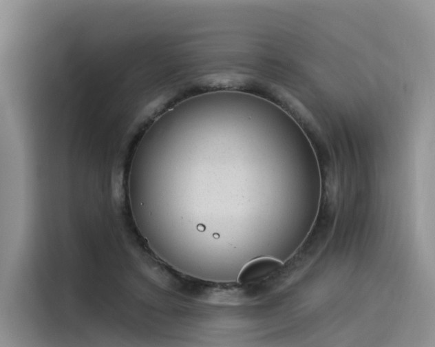 X0000116030403200911271140