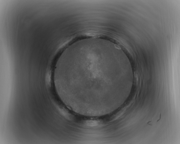 X0000116030404200911271140