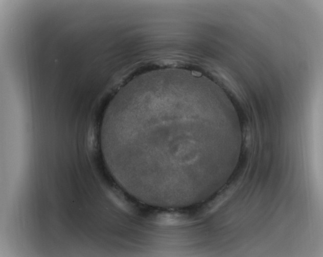 X0000116030408200911271140