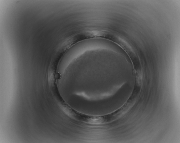 X0000116030410200911271140