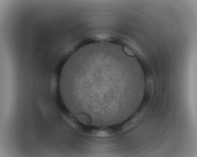 X0000116030412200911271140