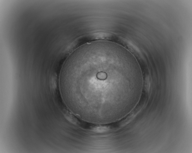 X0000116030413200911271140