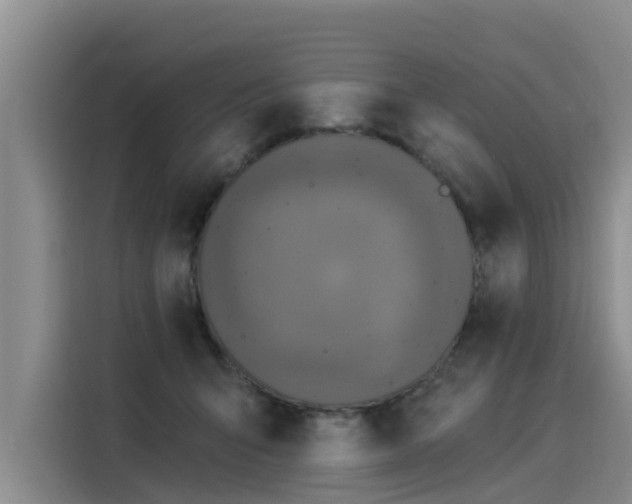 X0000116030415200911271140