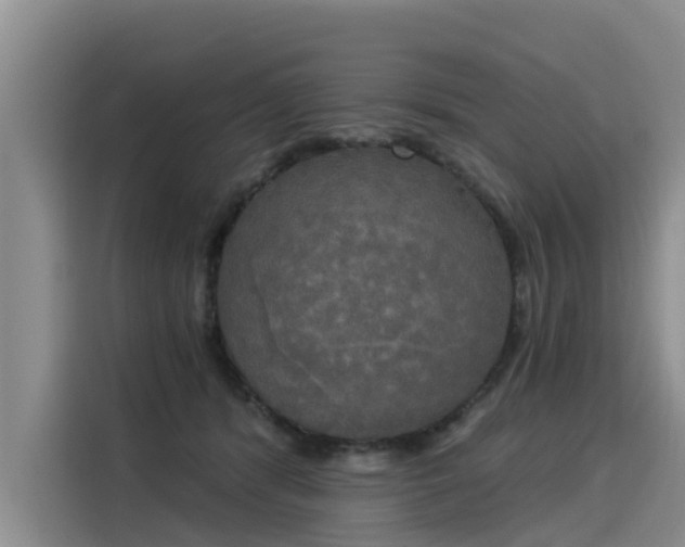 X0000116030416200911271140