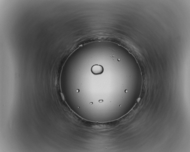 X0000116030417200911271140