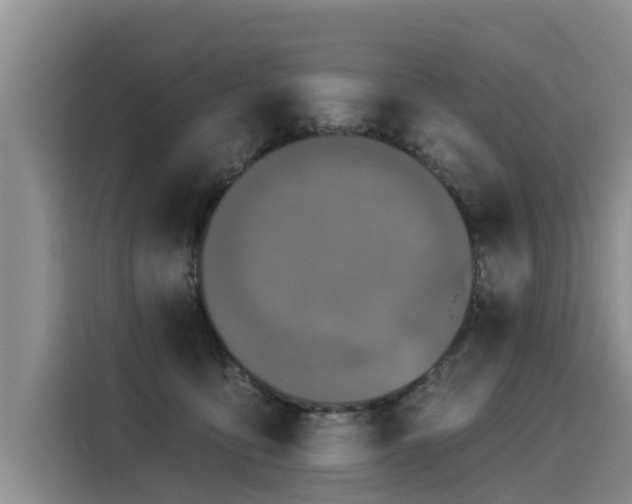 X0000116030419200911271140