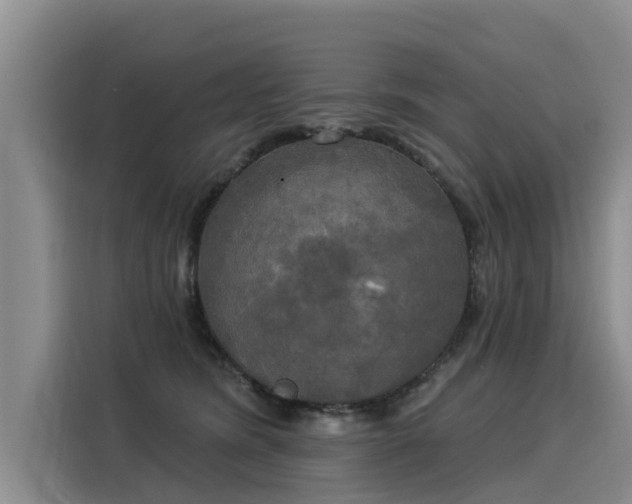 X0000116030420200911271140