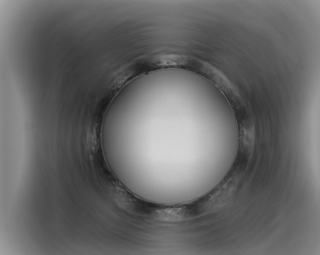 X0000116030422200911271140