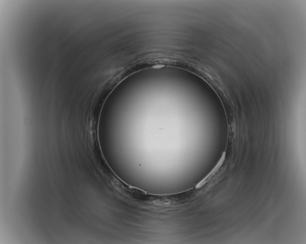 X0000116030423200911271140