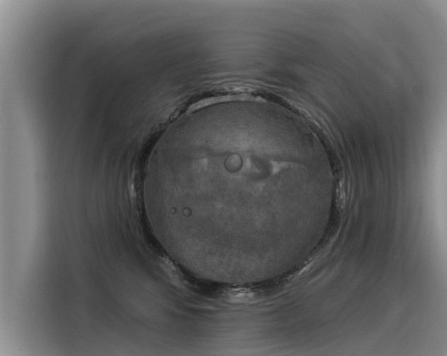 X0000116030424200911271140