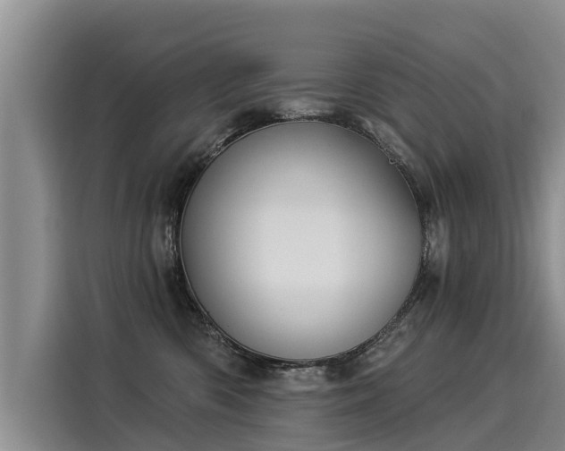 X0000116030426200911271140