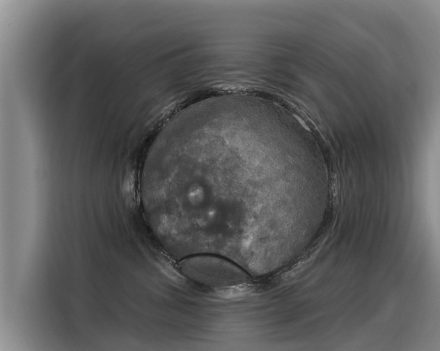 X0000116030428200911271140