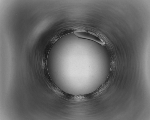 X0000116030429200911271139