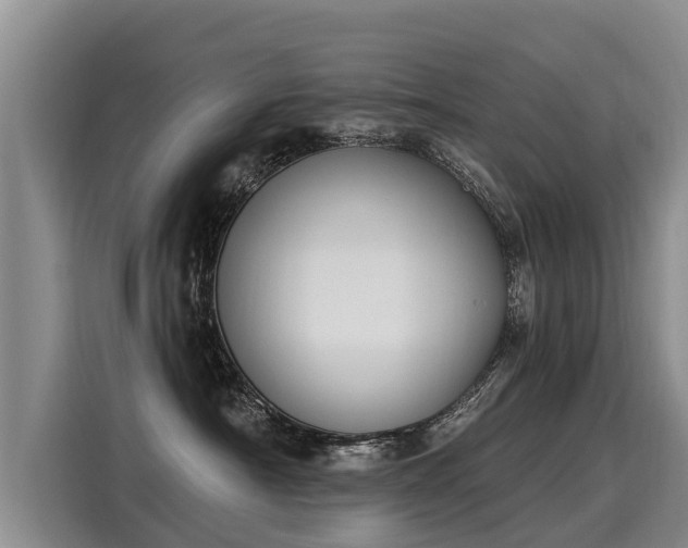 X0000116030430200911271139