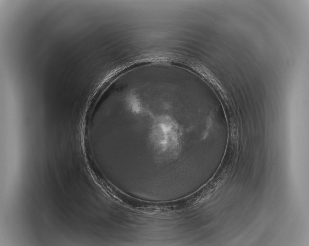 X0000116030434200911271139