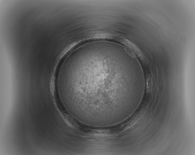 X0000116030436200911271139