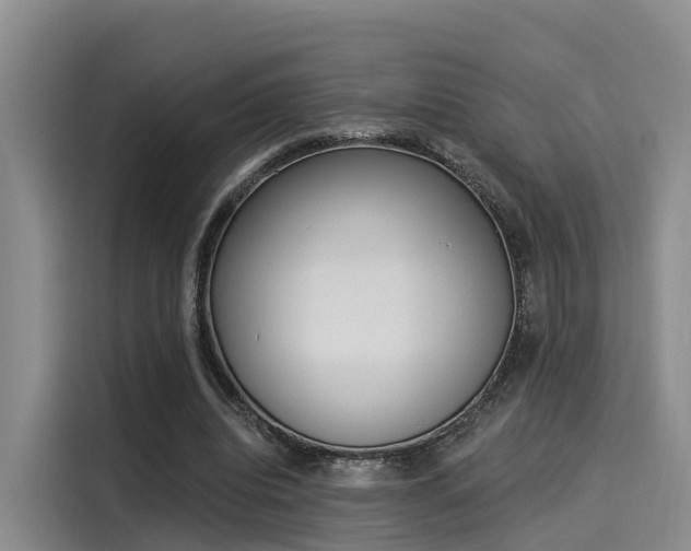 X0000116030440200911271139