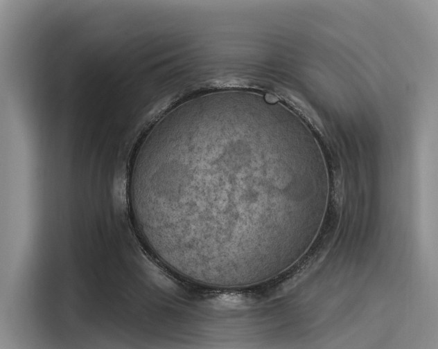 X0000116030441200911271139