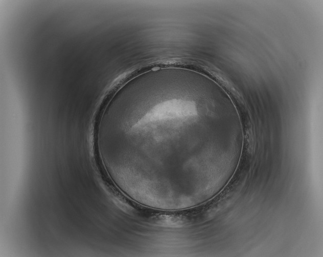 X0000116030442200911271139