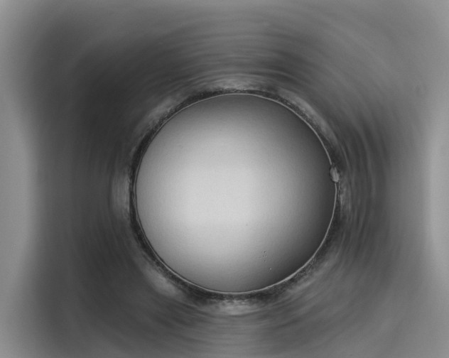 X0000116030445200911271139