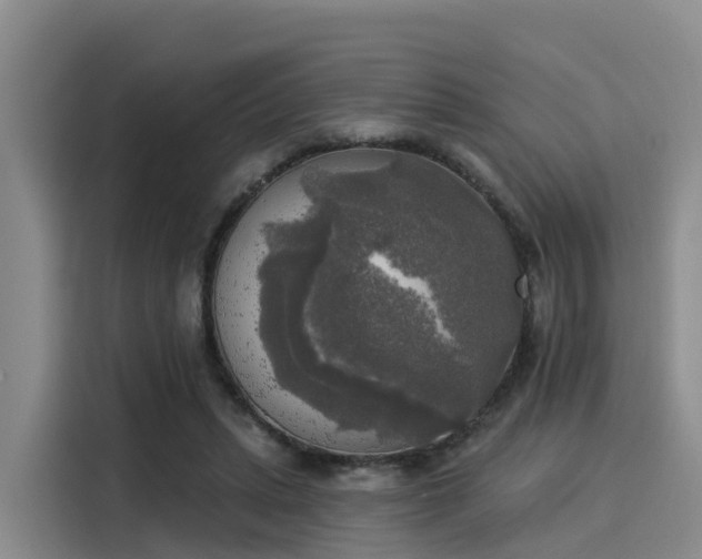 X0000116030447200911271139