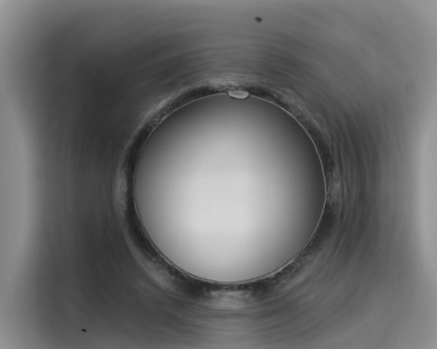 X0000116030448200911271139