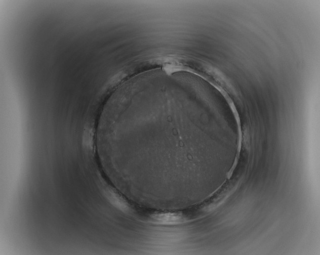 X0000116030449200911271139