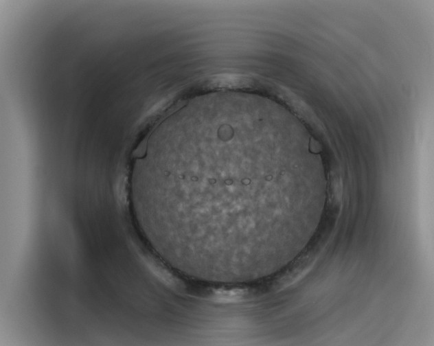 X0000116030450200911271139