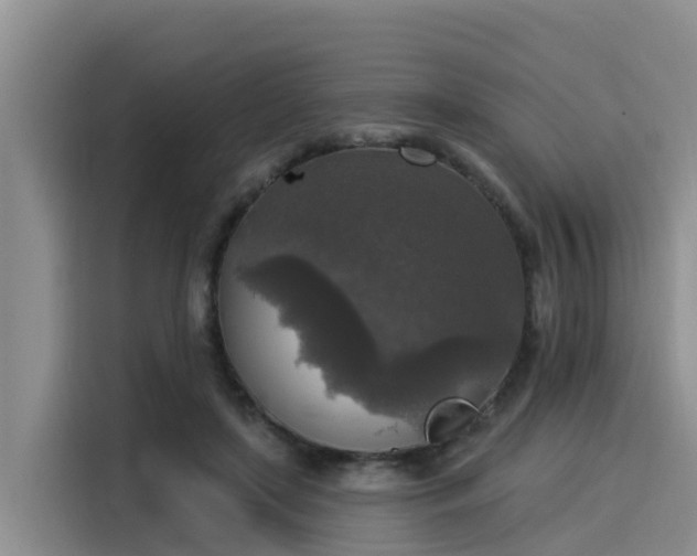 X0000116030451200911271139