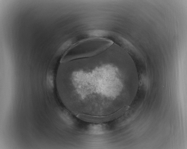 X0000116030452200911271139