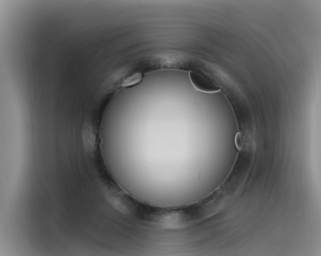 X0000116030456200911271139