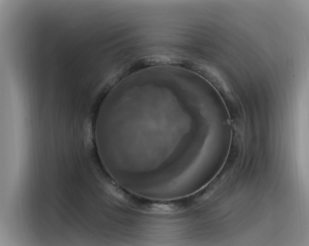 X0000116030457200911271139