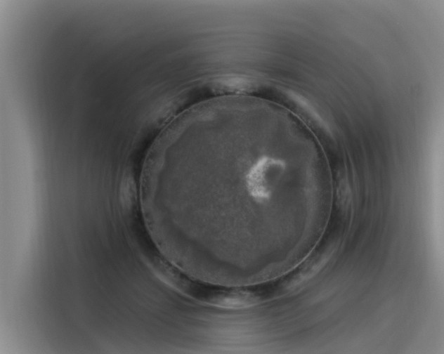 X0000116030459200911271139