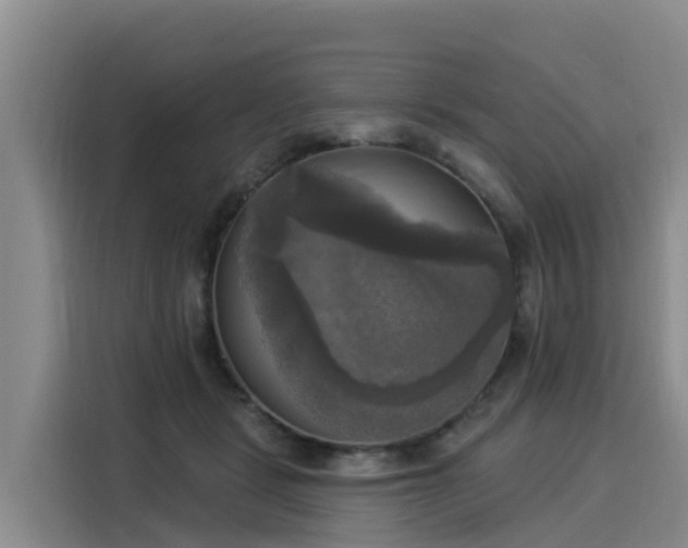 X0000116030461200911271139