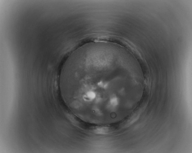 X0000116030462200911271139