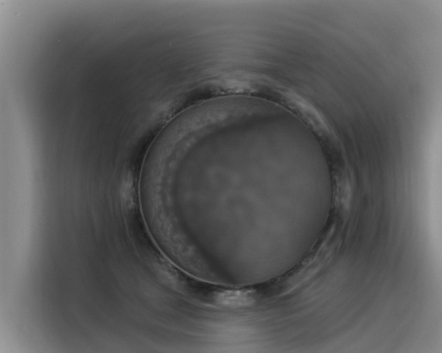 X0000116030465200911271139