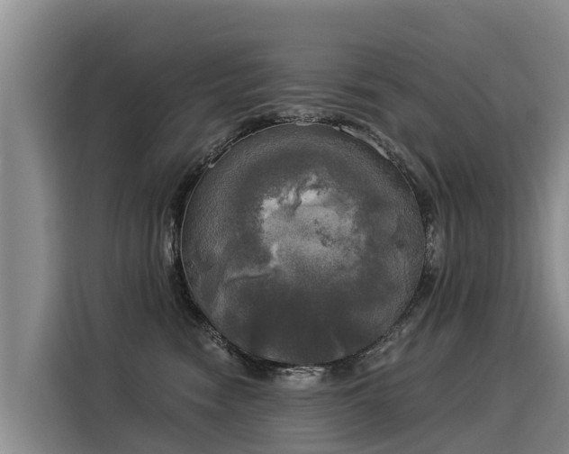 X0000116030474200911271139