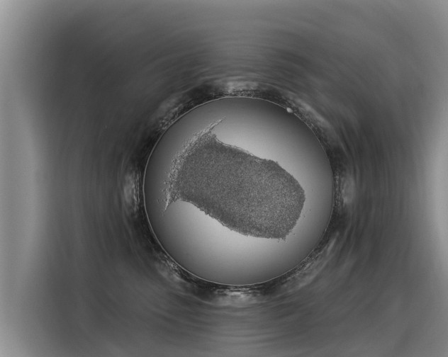 X0000116030475200911271139