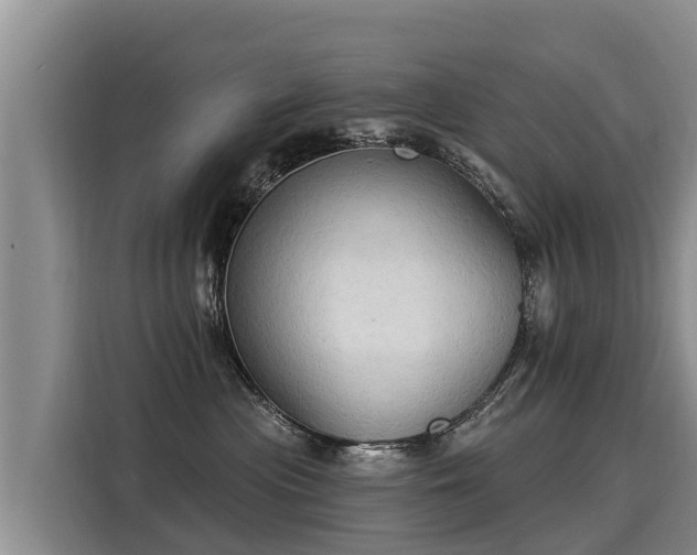 X0000116030477200911271139