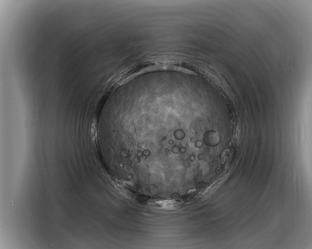 X0000116030478200911271139